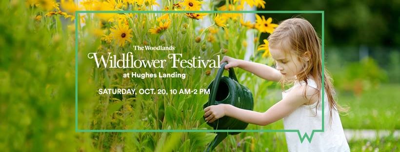 31st Annual Wildflower Festival